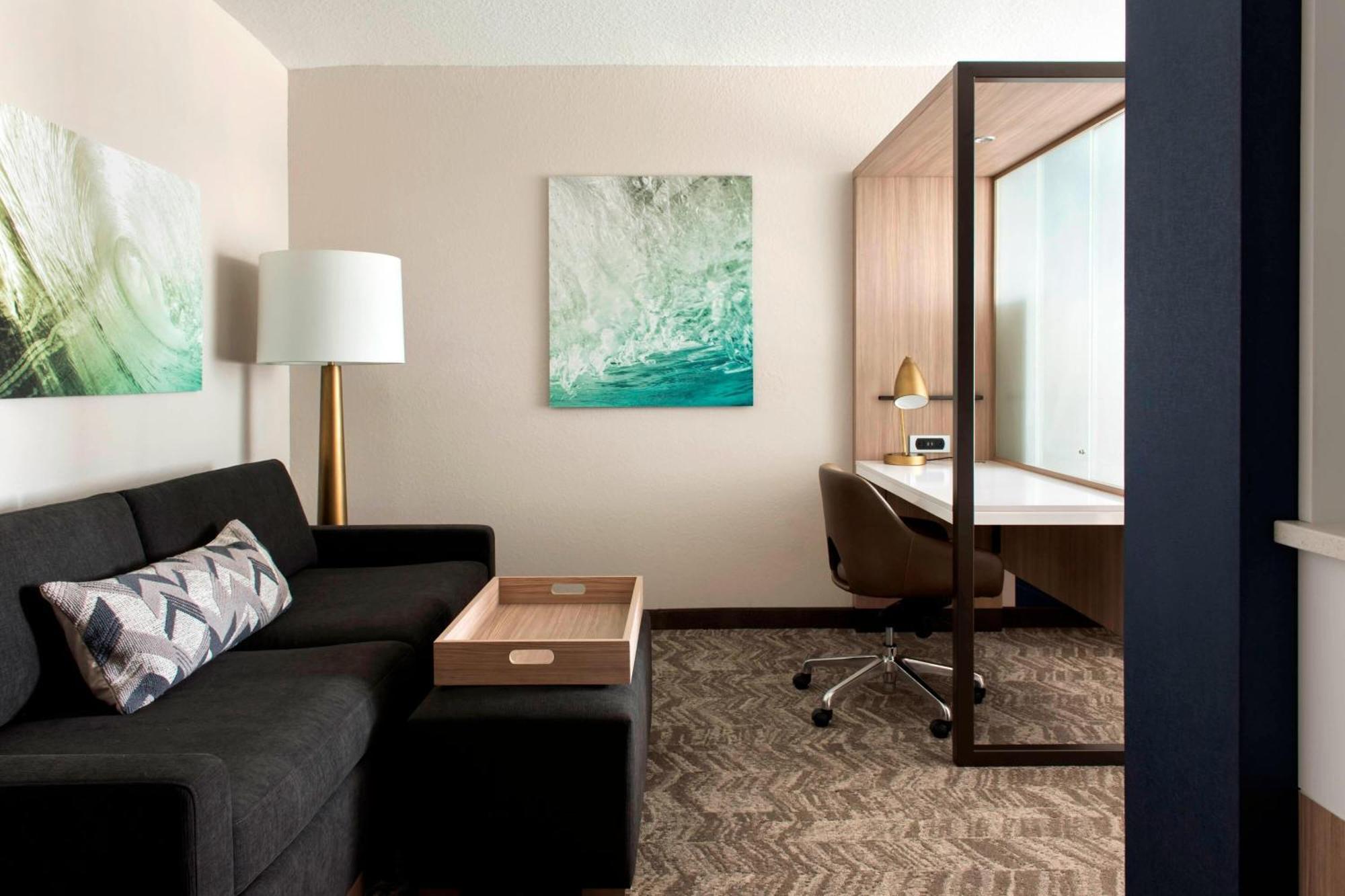 Springhill Suites By Marriott Tampa Suncoast Parkway Ленд-О'Лейкс Екстер'єр фото